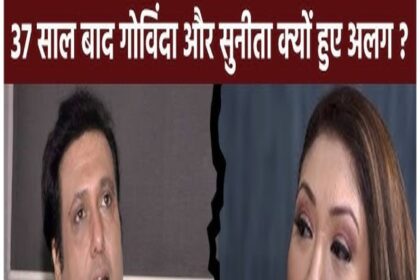 Govinda Divorce