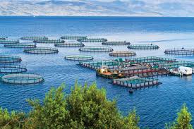 Fish Farming Yojana 2025